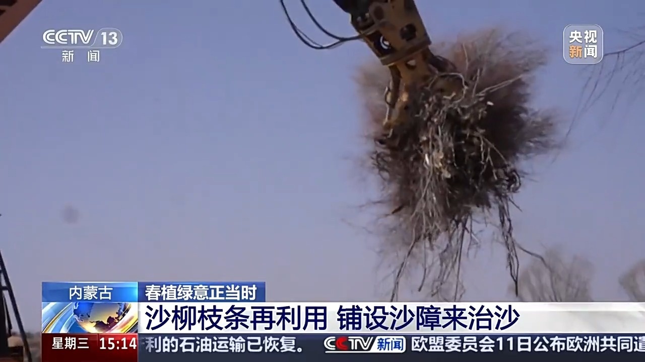 无人机“种草”、机器人植树 这份“治沙攻略”科技感满满