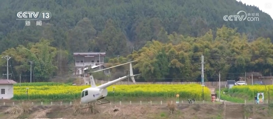 花样文旅“圈粉”引客来 “追花游”点亮旅游市场“多彩”引擎