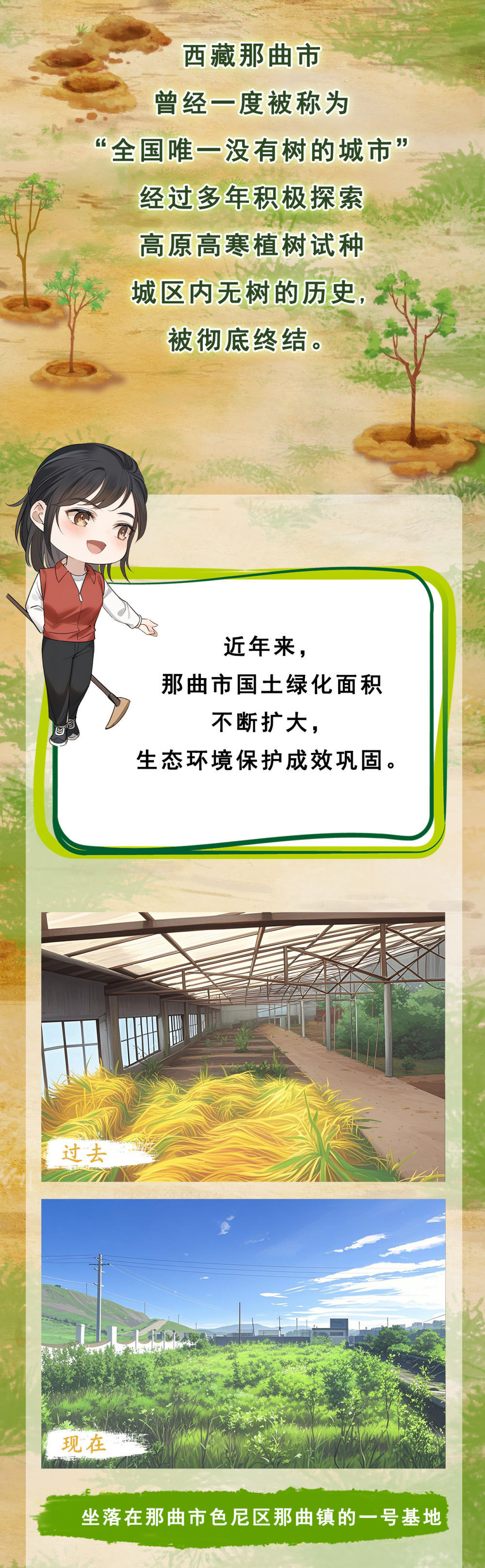 这个曾经没有树的城市，有绿了！