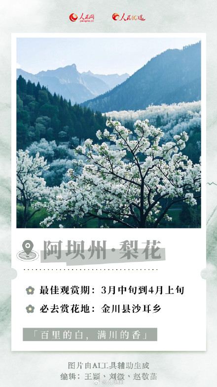 转发收藏！2025年春日赏花时间表