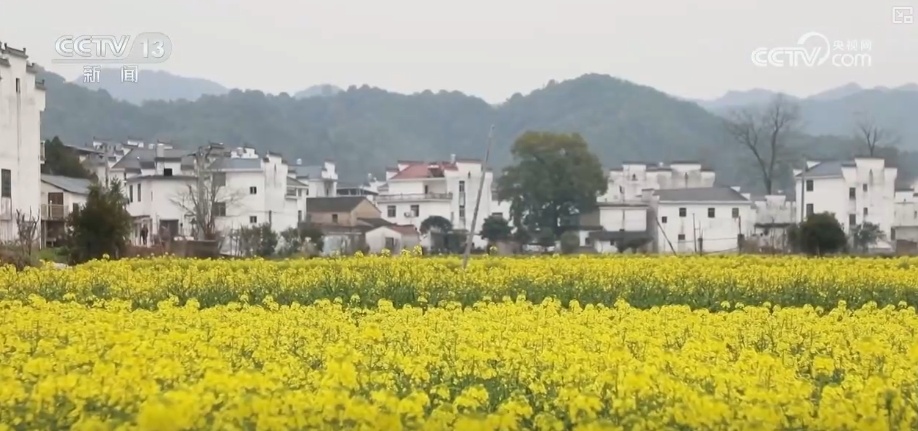 花样文旅“圈粉”引客来 “追花游”点亮旅游市场“多彩”引擎