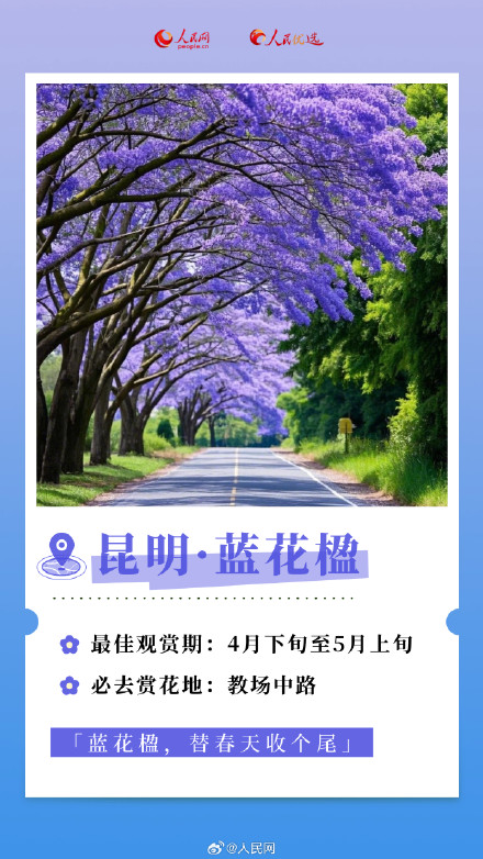 转发收藏！2025年春日赏花时间表