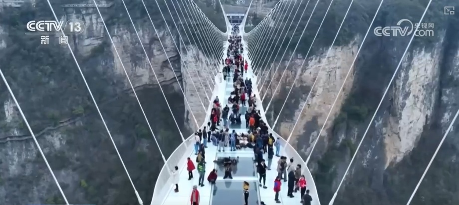 花样文旅“圈粉”引客来 “追花游”点亮旅游市场“多彩”引擎