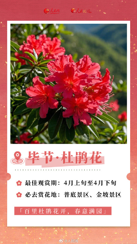 转发收藏！2025年春日赏花时间表