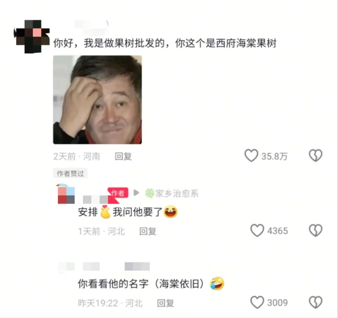 河北女子5年3次网购车厘子苗，都是海棠！自称大冤种，山东网友给她邮了两棵樱桃苗