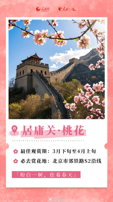 转发收藏！2025年春日赏花时间表