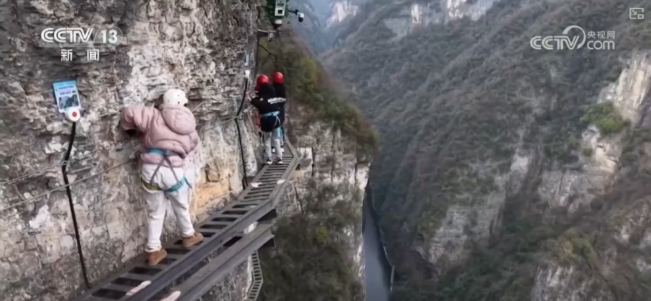 花样文旅“圈粉”引客来 “追花游”点亮旅游市场“多彩”引擎