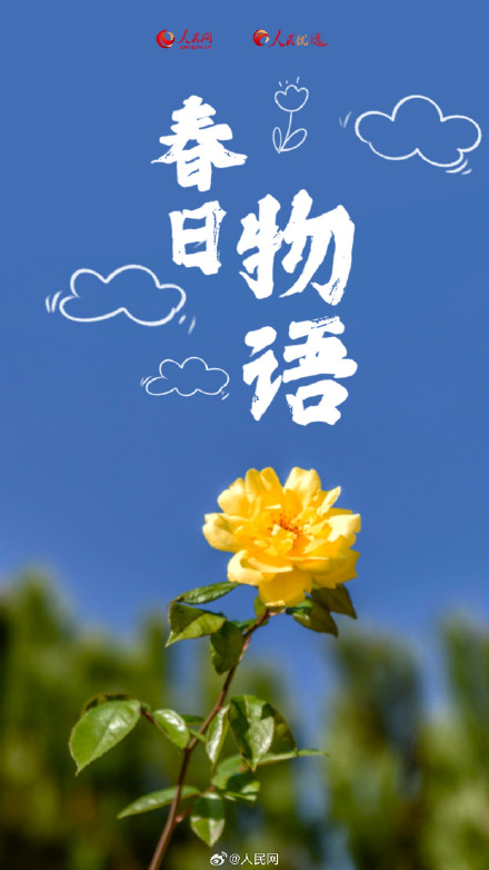 转发收藏！2025年春日赏花时间表