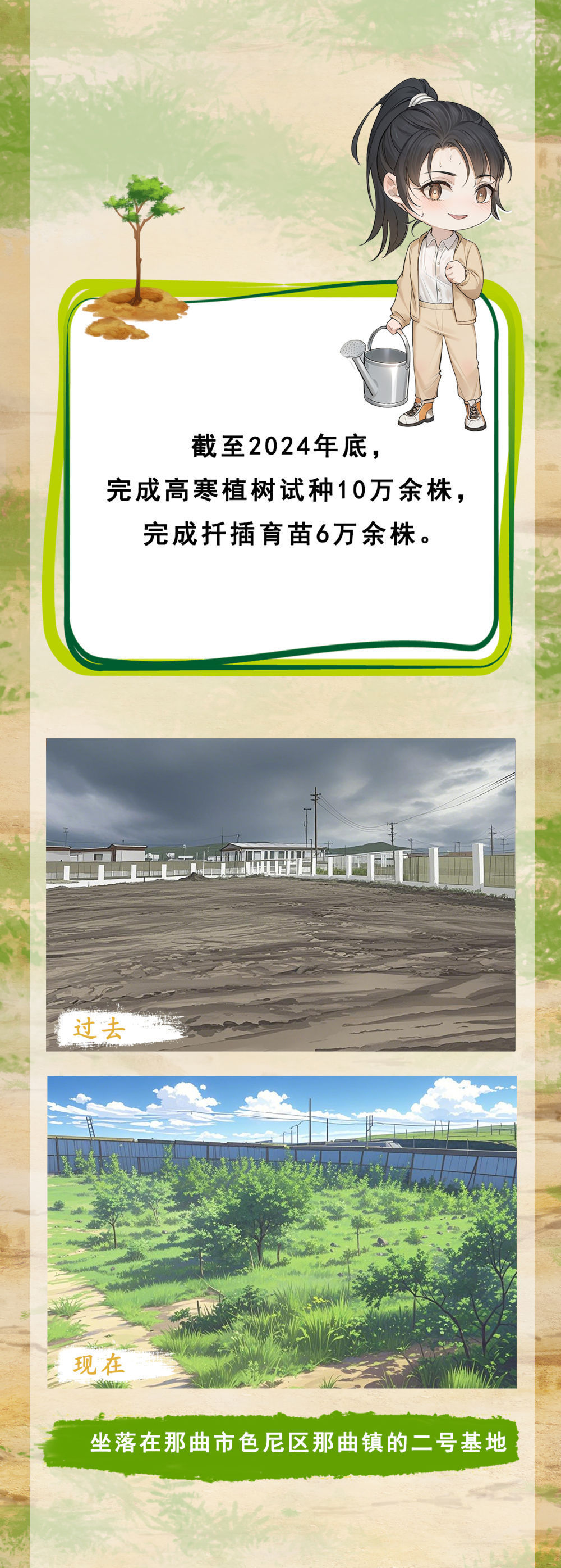 这个曾经没有树的城市，有绿了！