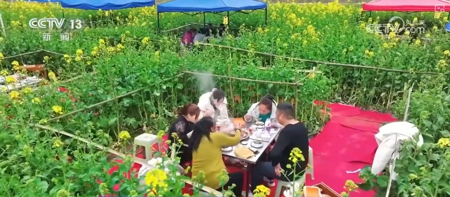 花样文旅“圈粉”引客来 “追花游”点亮旅游市场“多彩”引擎