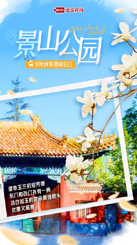 乘着地铁赏春花 |玉兰绽放!开启京城最美春色 乘着地铁赏春花 |玉兰绽放!开启京城最美春色