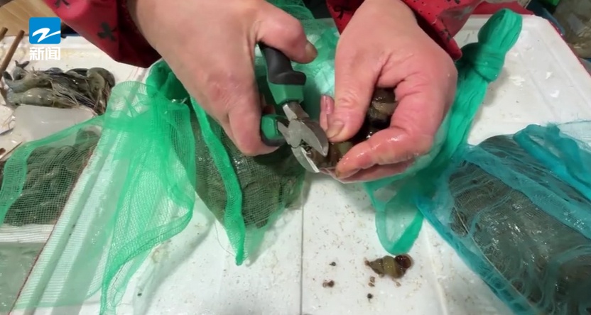 卖爆了！最便宜只要8元一斤，老板：正是最好吃的时候