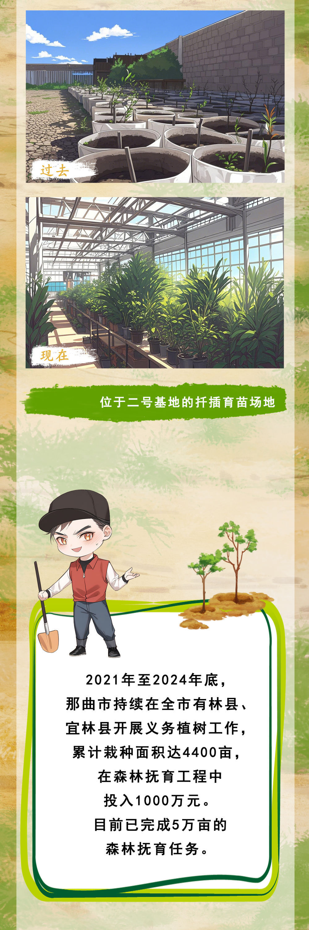 这个曾经没有树的城市，有绿了！