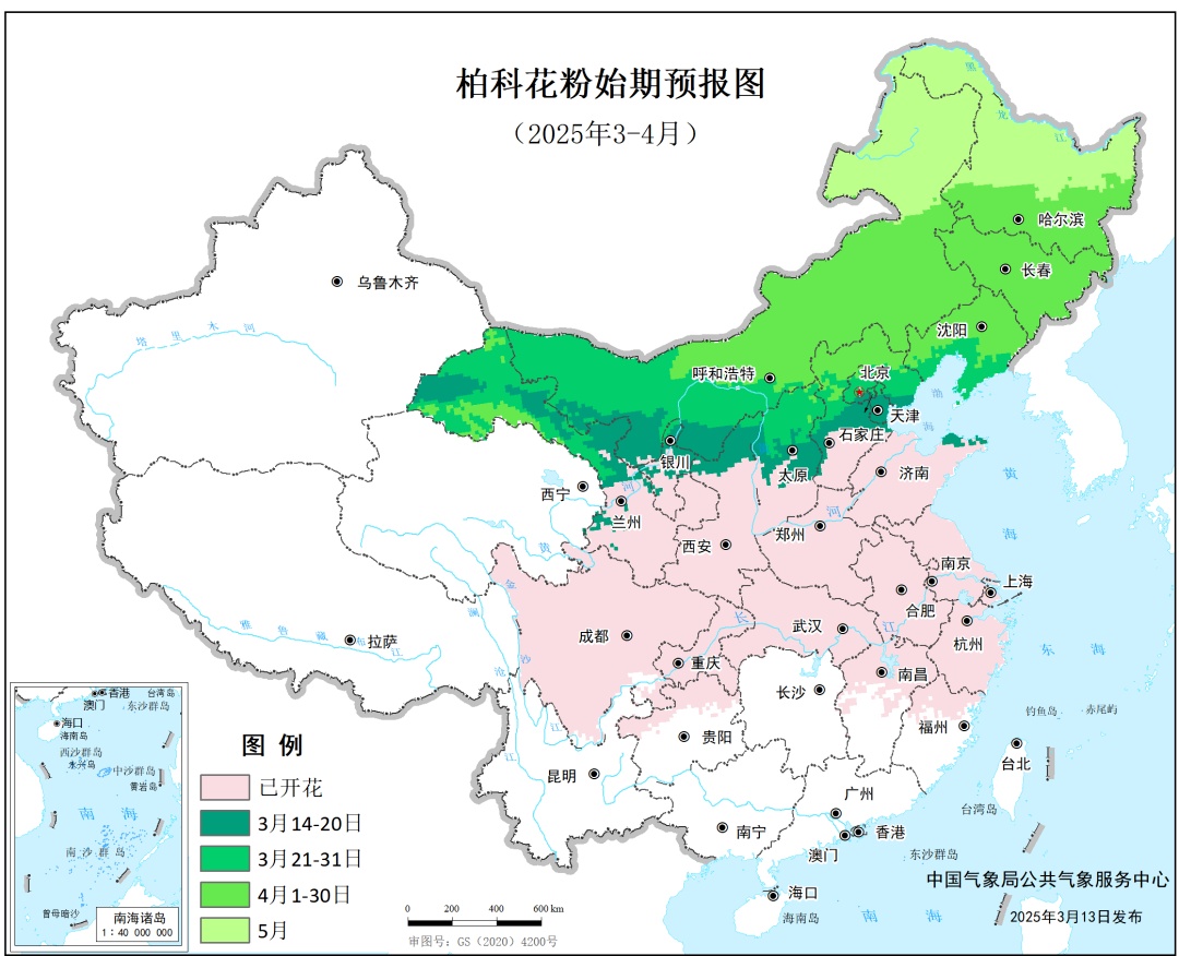 花粉暴击预警！这些地区即将进入过敏高发期，防护指南请收好！