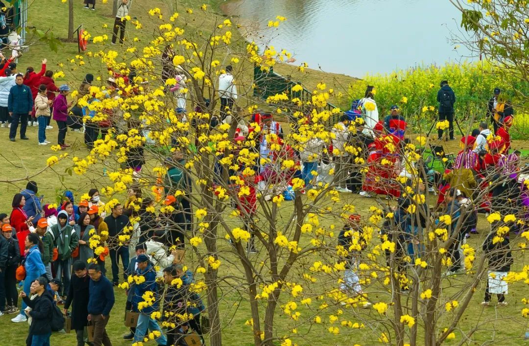 “一票3日使用制”！广西正式公布