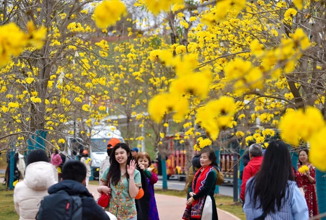 3月17日起实施！广西A级景区门票“一票管3日”