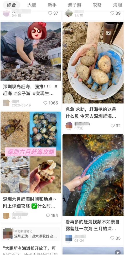 处理海鲜戴手套!感染这种细菌致死率或达100% 处理海鲜戴手套!感染这种细菌致死率或达100%