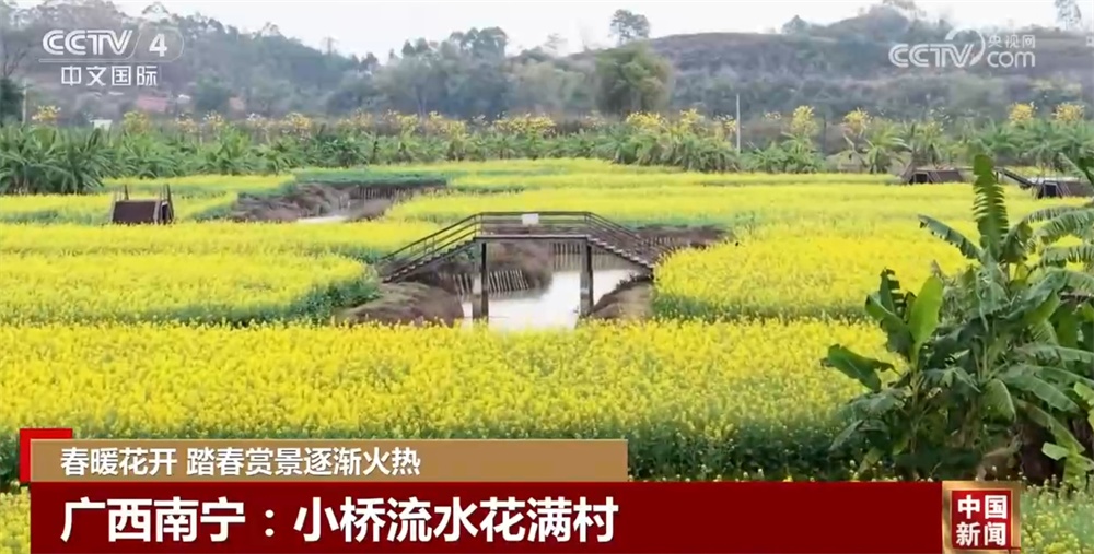 春暖花开时踏春赏景逐渐火热 以花为“媒”促“春日经济”盛放 春暖花开时踏春赏景逐渐火热 以花为“媒”促“春日经济”盛放