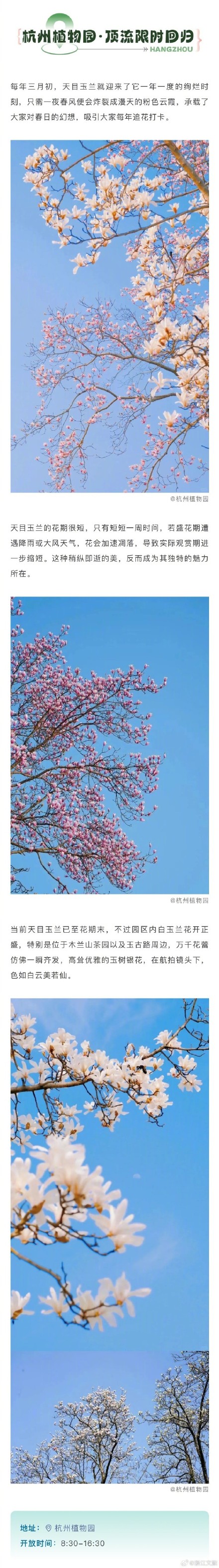 千万别错过一树繁花满城春的杭州