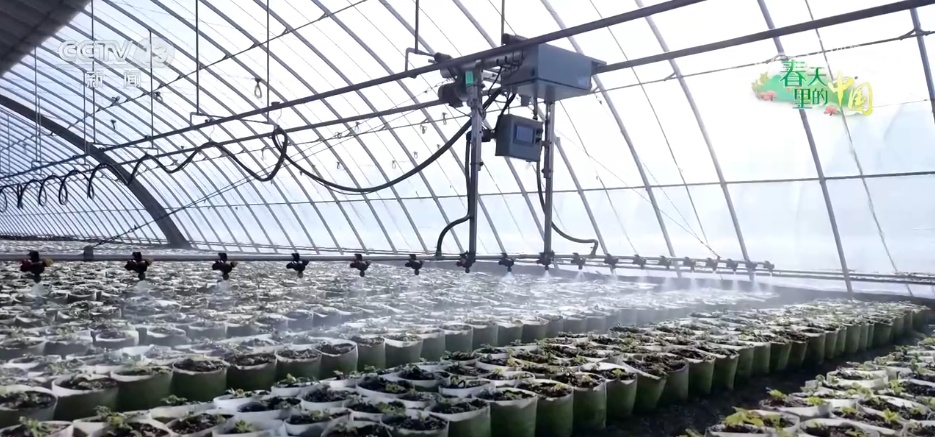 智慧农业让春耕春管“底气”足 “产业旺”推进“乡村兴” 智慧农业让春耕春管“底气”足 “产业旺”推进“乡村兴”