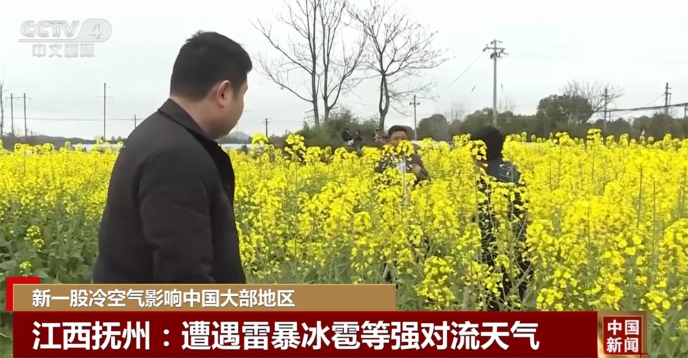 各地各部门积极应对新一股冷空气 全力以赴保障群众正常生产生活秩序