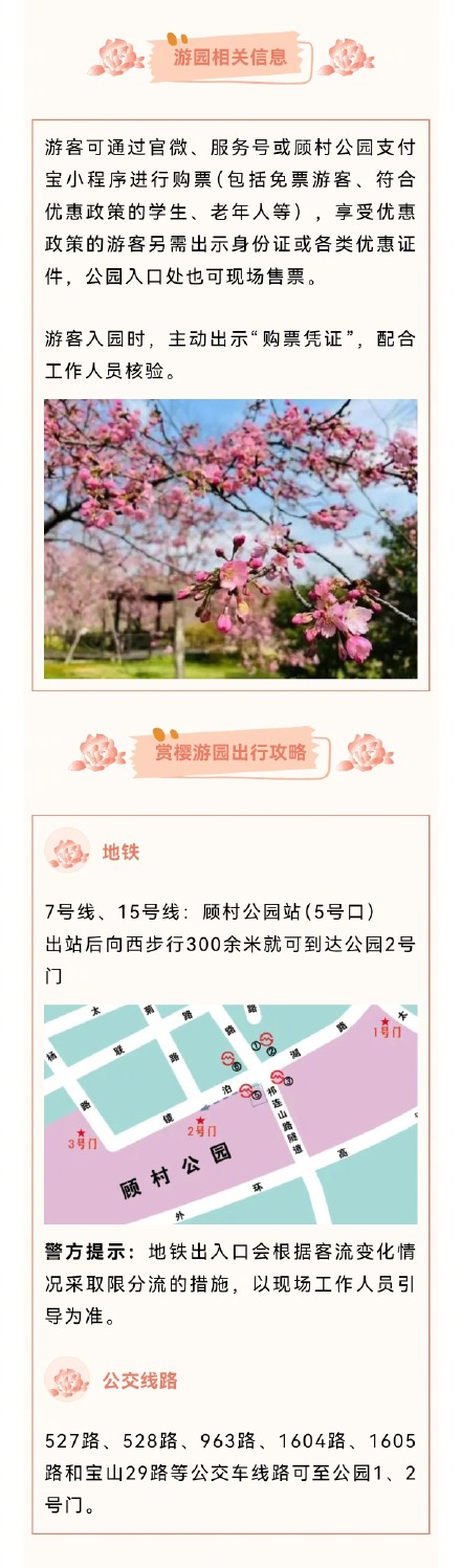 2025上海樱花节交通出行攻略 2025上海樱花节交通出行攻略