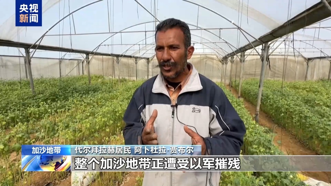 以色列封锁致物资匮乏电力短缺 加沙民众生活难以为继 以色列封锁致物资匮乏电力短缺 加沙民众生活难以为继