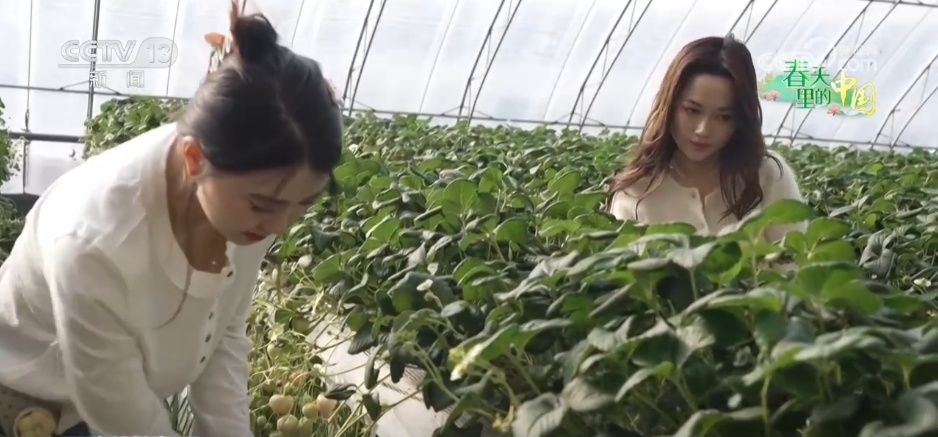 智慧农业让春耕春管“底气”足 “产业旺”推进“乡村兴” 智慧农业让春耕春管“底气”足 “产业旺”推进“乡村兴”