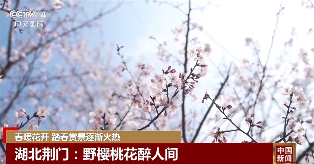 春暖花开时踏春赏景逐渐火热 以花为“媒”促“春日经济”盛放 春暖花开时踏春赏景逐渐火热 以花为“媒”促“春日经济”盛放
