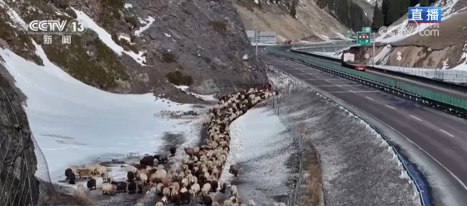 服务队温暖护航风雪转场路 现代化转型托起牧民新生活