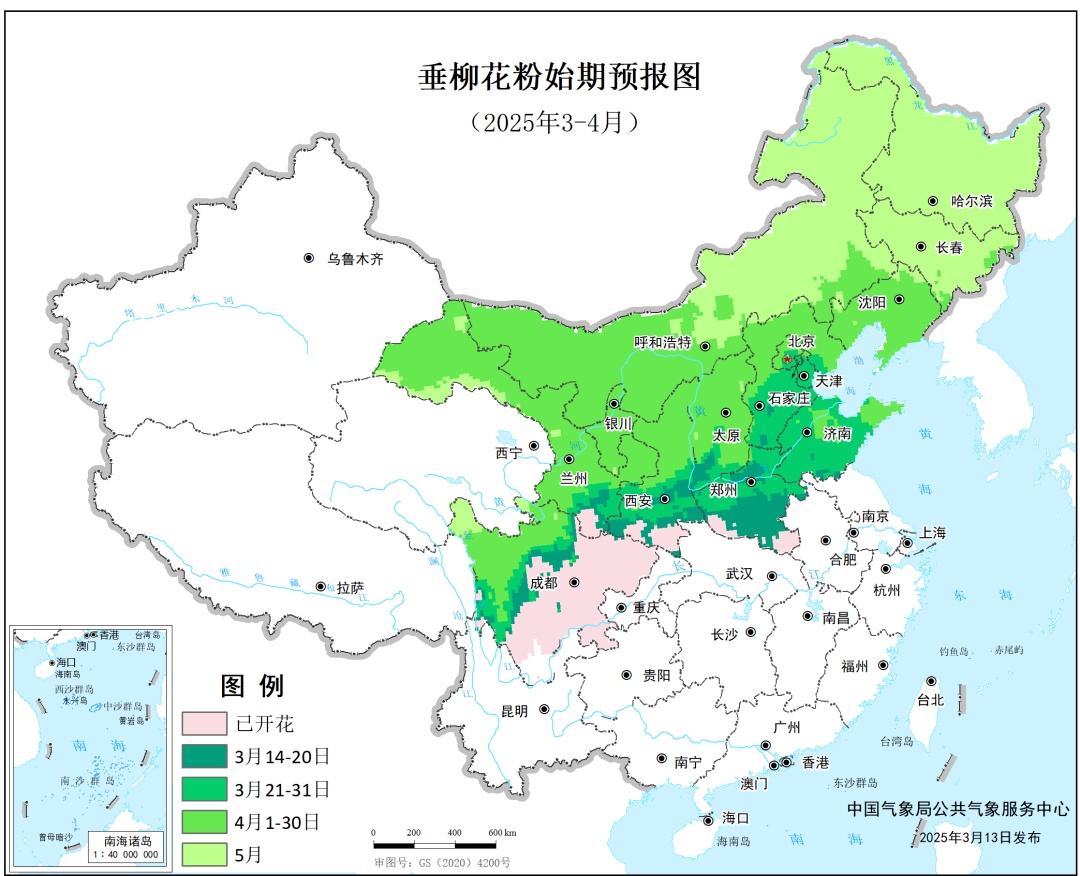 花粉暴击预警！这些地区即将进入过敏高发期，防护指南请收好！