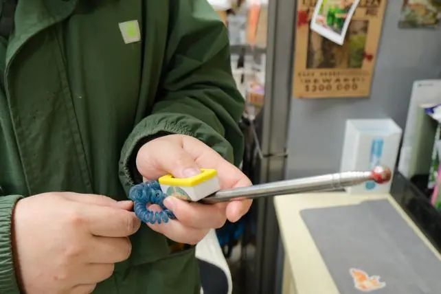 她当了9年外企会计，转行做动物饲养员