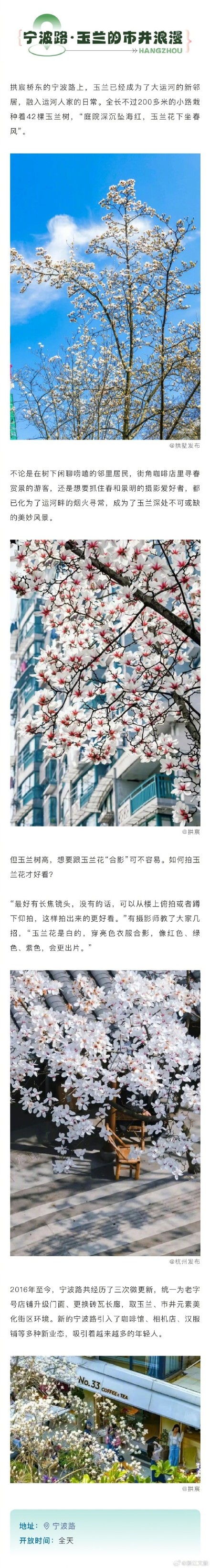 千万别错过一树繁花满城春的杭州