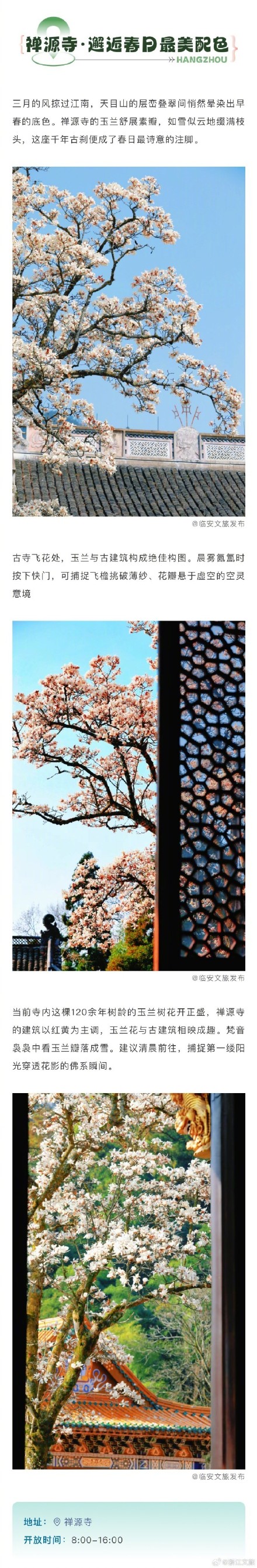 千万别错过一树繁花满城春的杭州