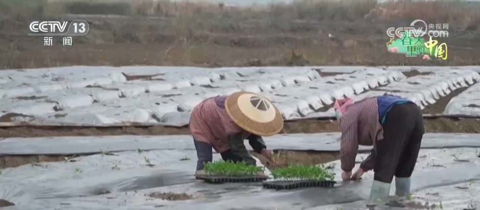 智慧农业让春耕春管“底气”足 “产业旺”推进“乡村兴” 智慧农业让春耕春管“底气”足 “产业旺”推进“乡村兴”
