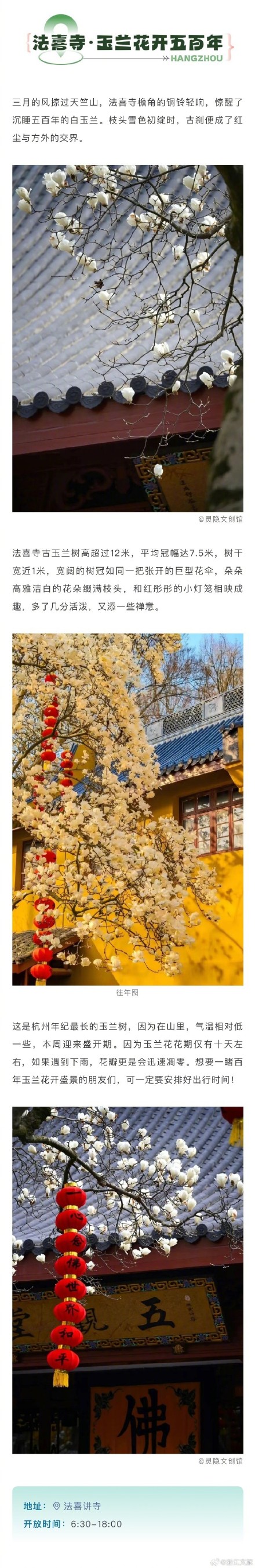 千万别错过一树繁花满城春的杭州