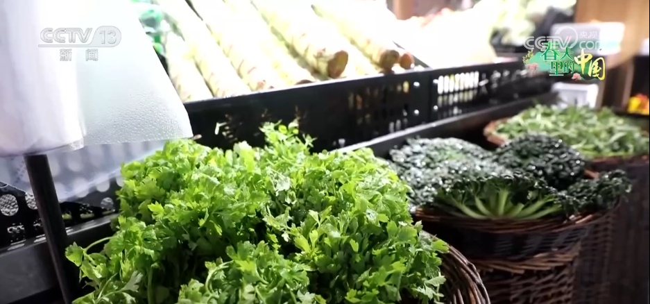 智慧农业让春耕春管“底气”足 “产业旺”推进“乡村兴” 智慧农业让春耕春管“底气”足 “产业旺”推进“乡村兴”