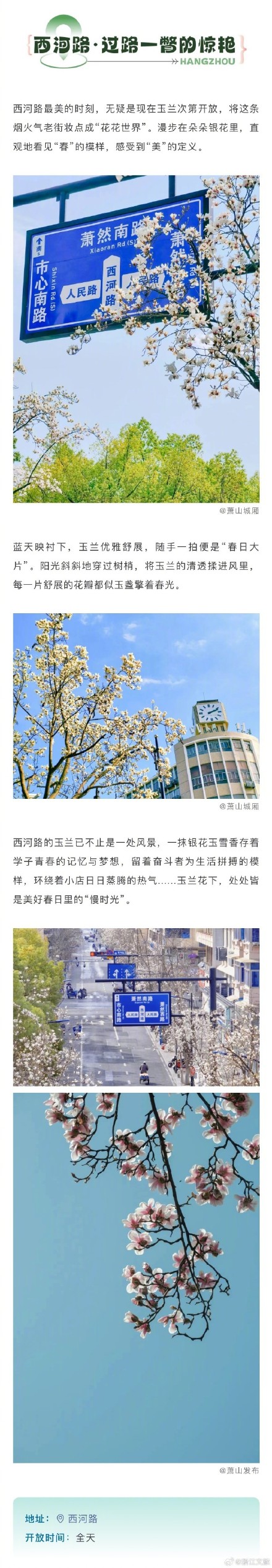 千万别错过一树繁花满城春的杭州