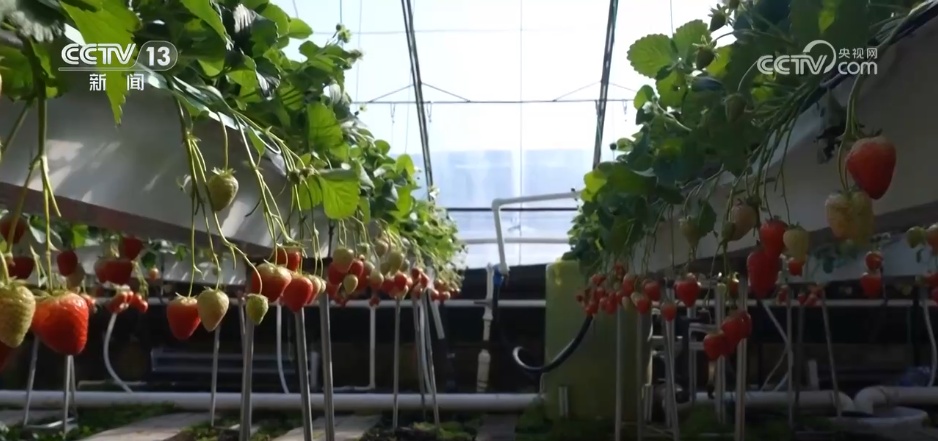 智慧农业让春耕春管“底气”足 “产业旺”推进“乡村兴” 智慧农业让春耕春管“底气”足 “产业旺”推进“乡村兴”