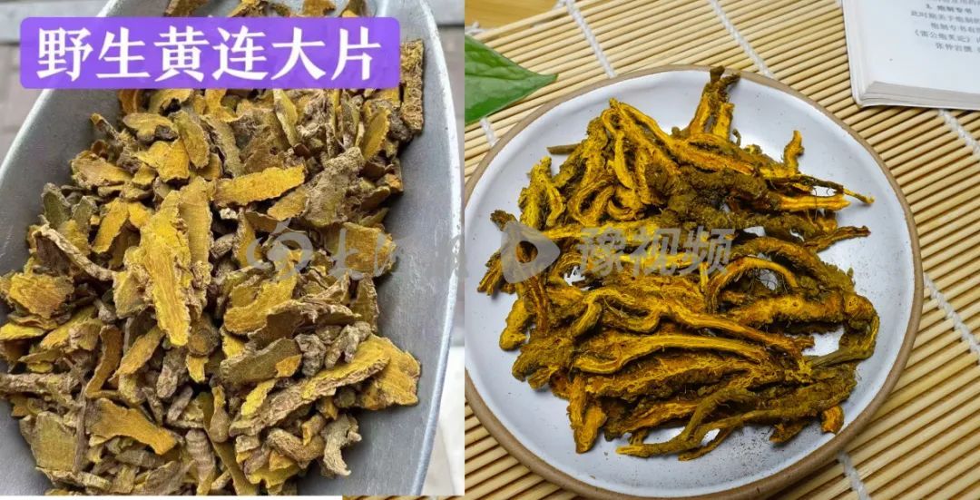 一字之差，价格相差10倍！很多人买的都是假的