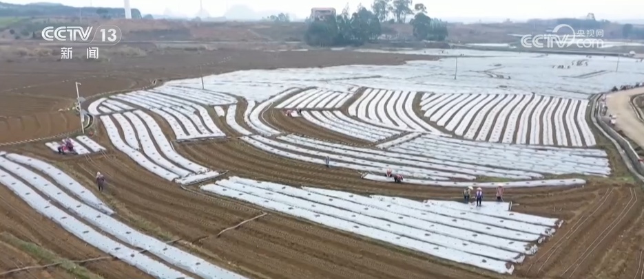 智慧农业让春耕春管“底气”足 “产业旺”推进“乡村兴” 智慧农业让春耕春管“底气”足 “产业旺”推进“乡村兴”