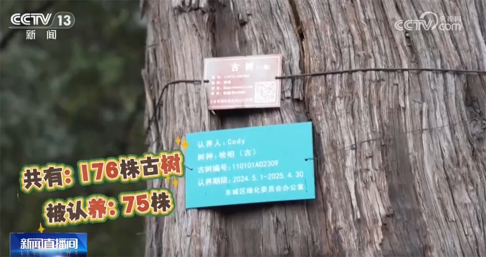 跨越时空、共荣共生！这些生态中国里的古树“传奇”打动了你吗？