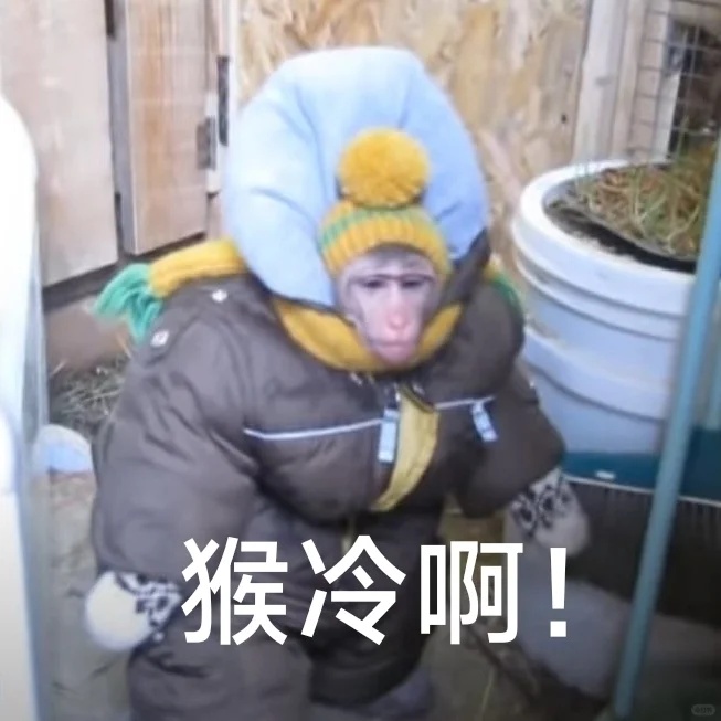 天津下雪啦!鹅毛大雪?!接下来太刺激了…… 天津下雪啦!鹅毛大雪?!接下来太刺激了……