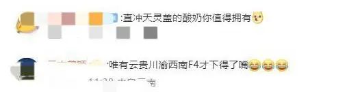 折耳根跨界成时尚单品！重庆网友：万万没想到