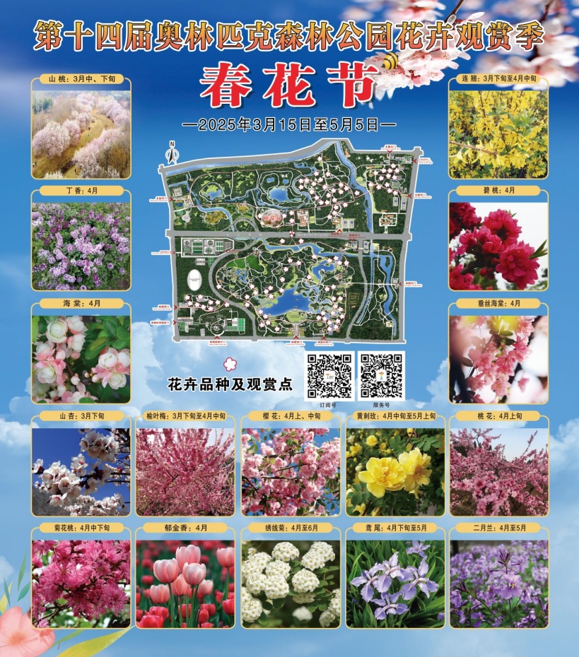 超50天超长待机！奥森春花节启幕，赏花攻略来了——