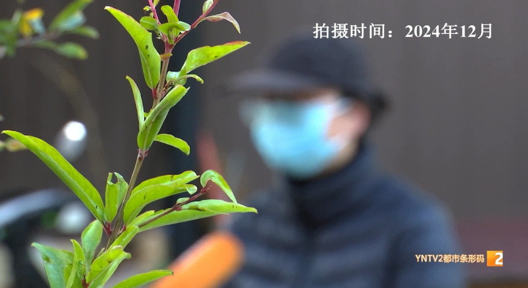 几乎天天下单，甚至重复下单！83岁老人万元网购200多本书！