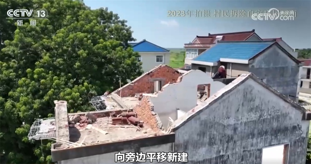 跨越时空、共荣共生！这些生态中国里的古树“传奇”打动了你吗？