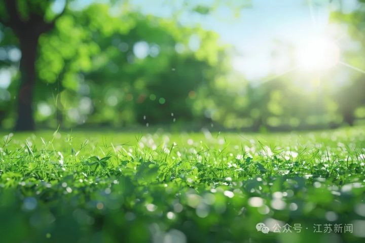 苏州官宣:3月10日正式入春! 苏州官宣:3月10日正式入春!