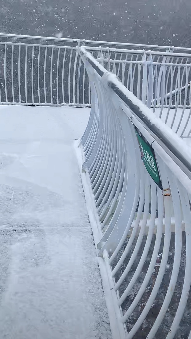 天津下雪啦!鹅毛大雪?!接下来太刺激了…… 天津下雪啦!鹅毛大雪?!接下来太刺激了……