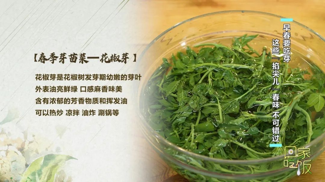 抓住春天的“鲜”机!这些养颜排毒“神菜”你吃了吗? 抓住春天的“鲜”机!这些养颜排毒“神菜”你吃了吗?